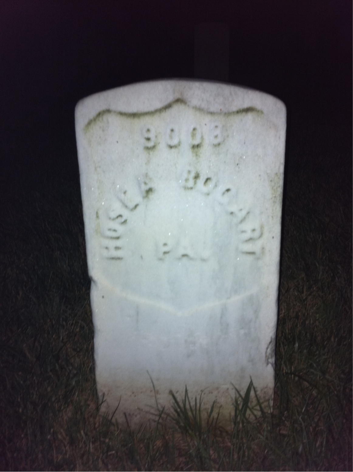 Hosea Bogert