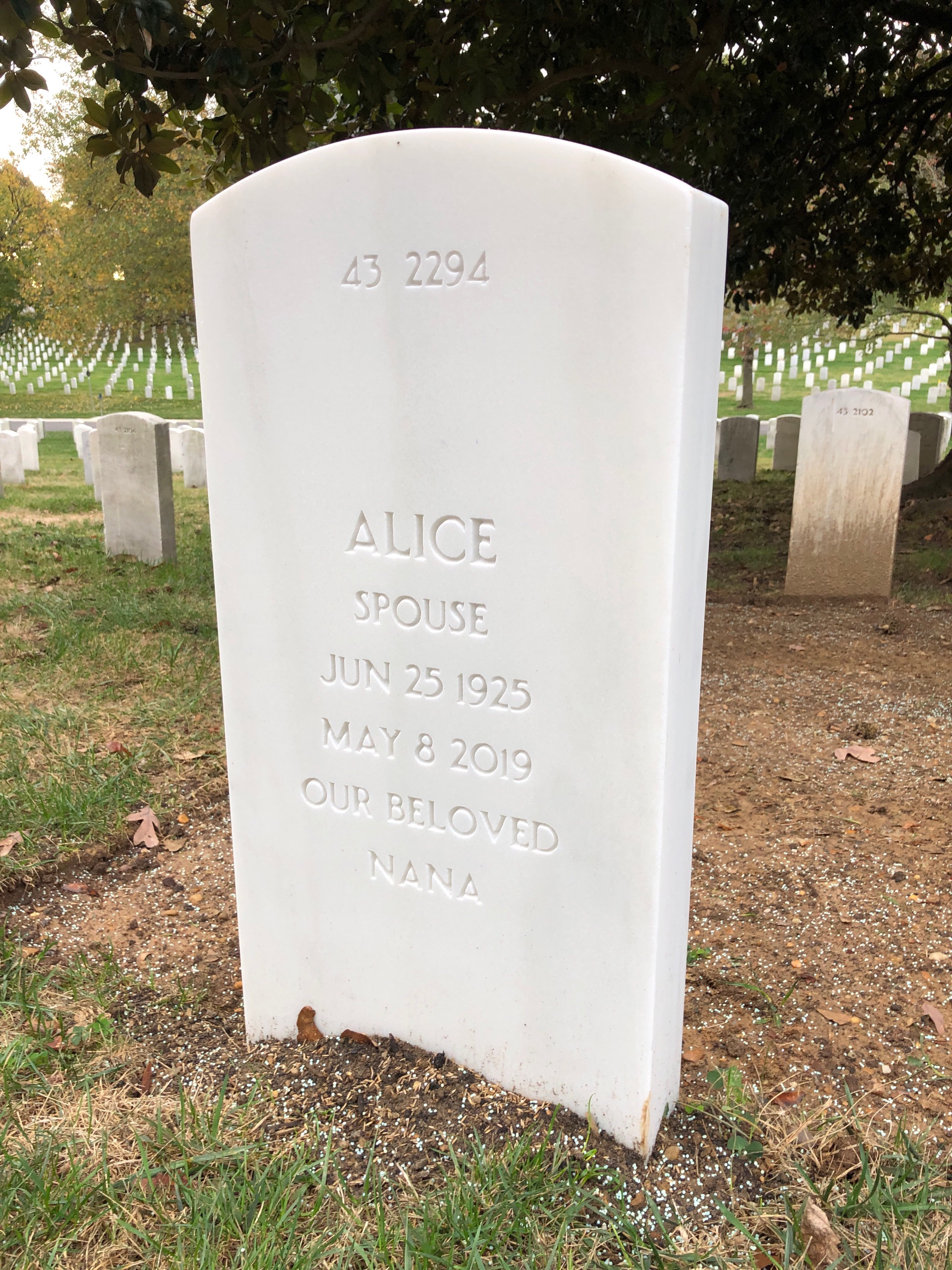 Back of headstone — Walter Morgan