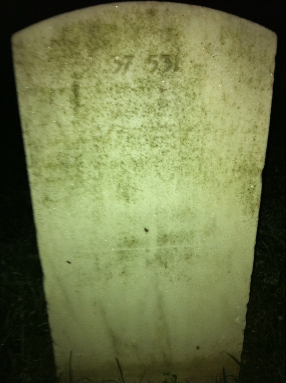 Back of headstone — Fred Albro