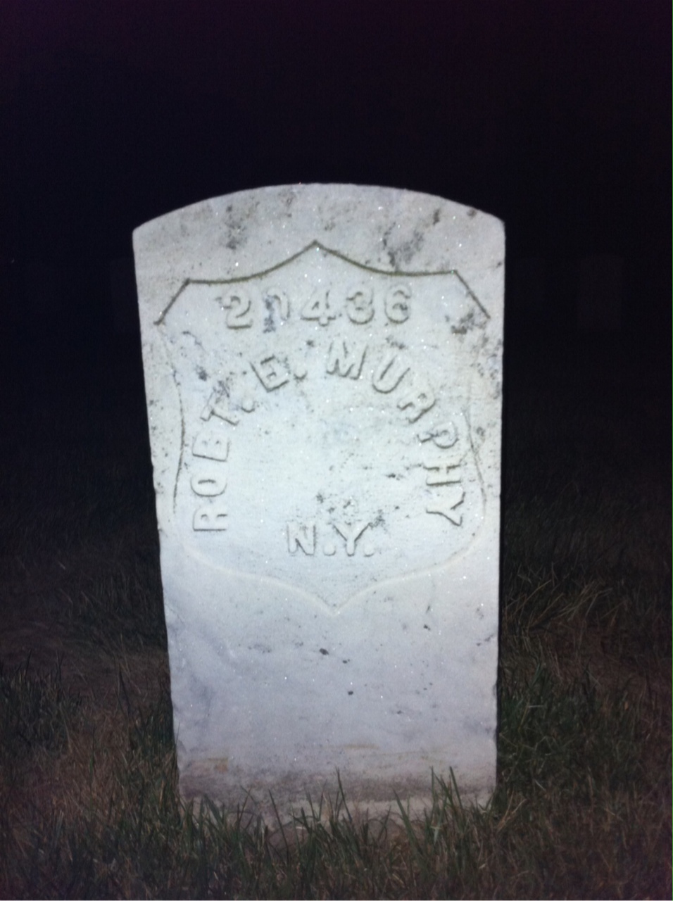 Robert Murphy