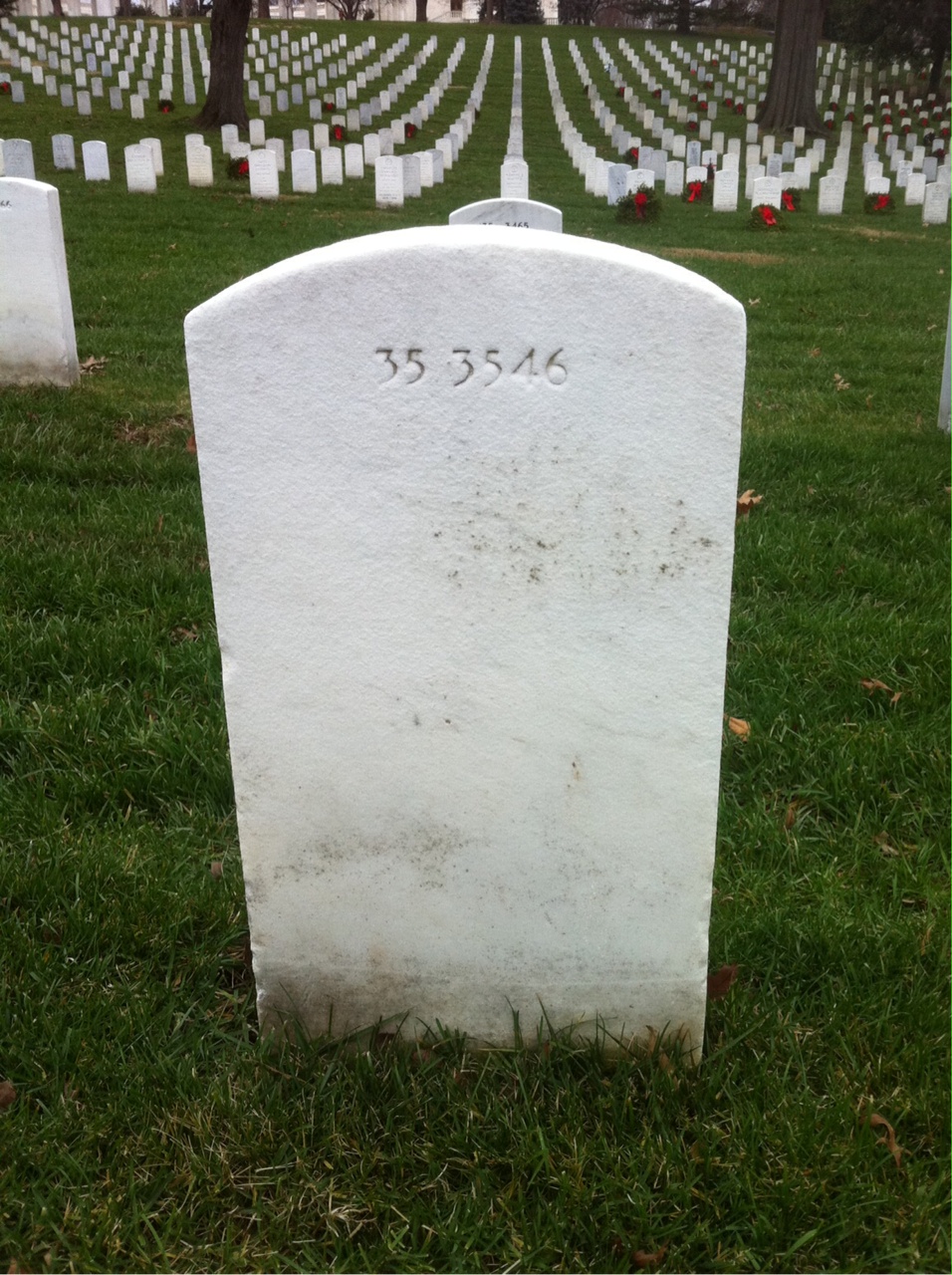 Back of headstone — Robin Anderson