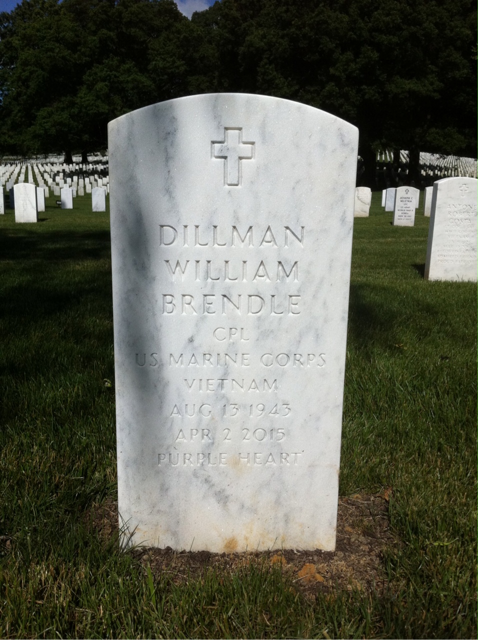 Dillman Brendle