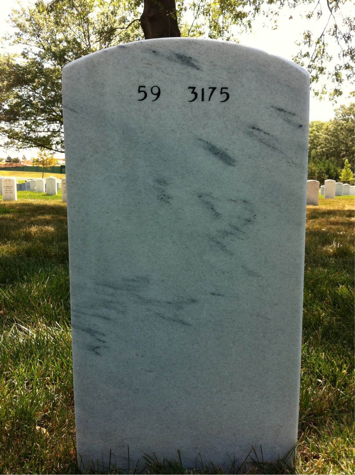 Back of headstone — Napoleon Castro