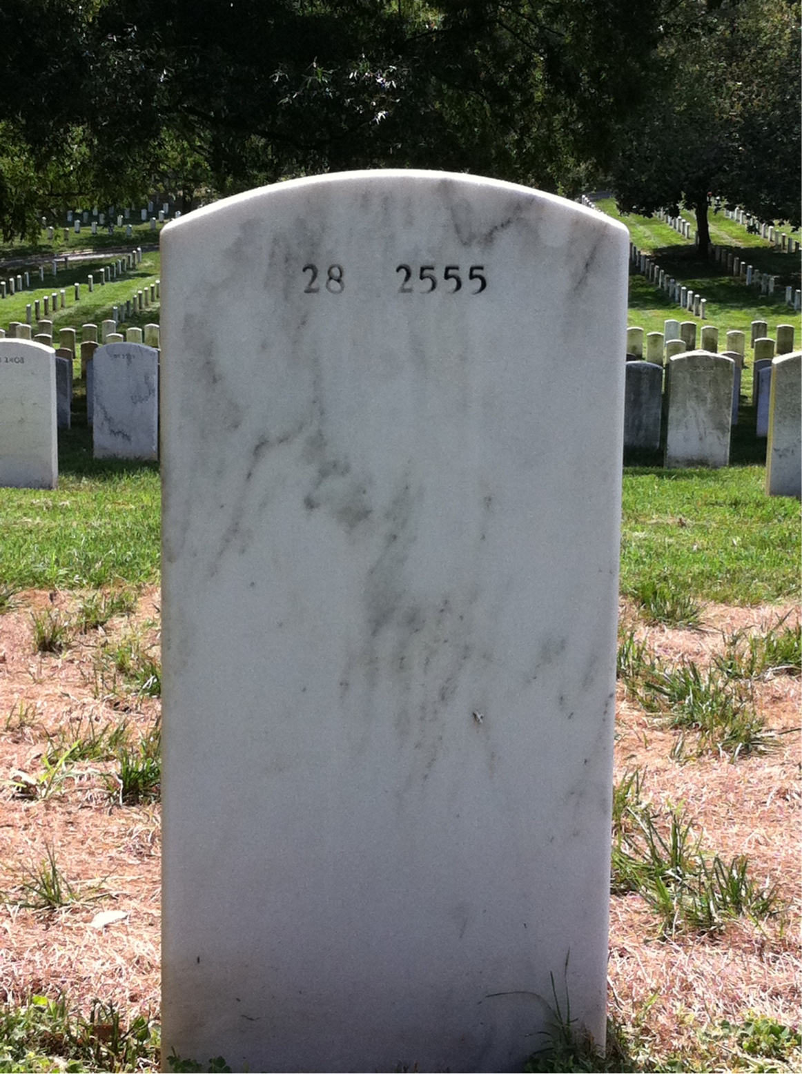 Back of headstone — Harry Chase