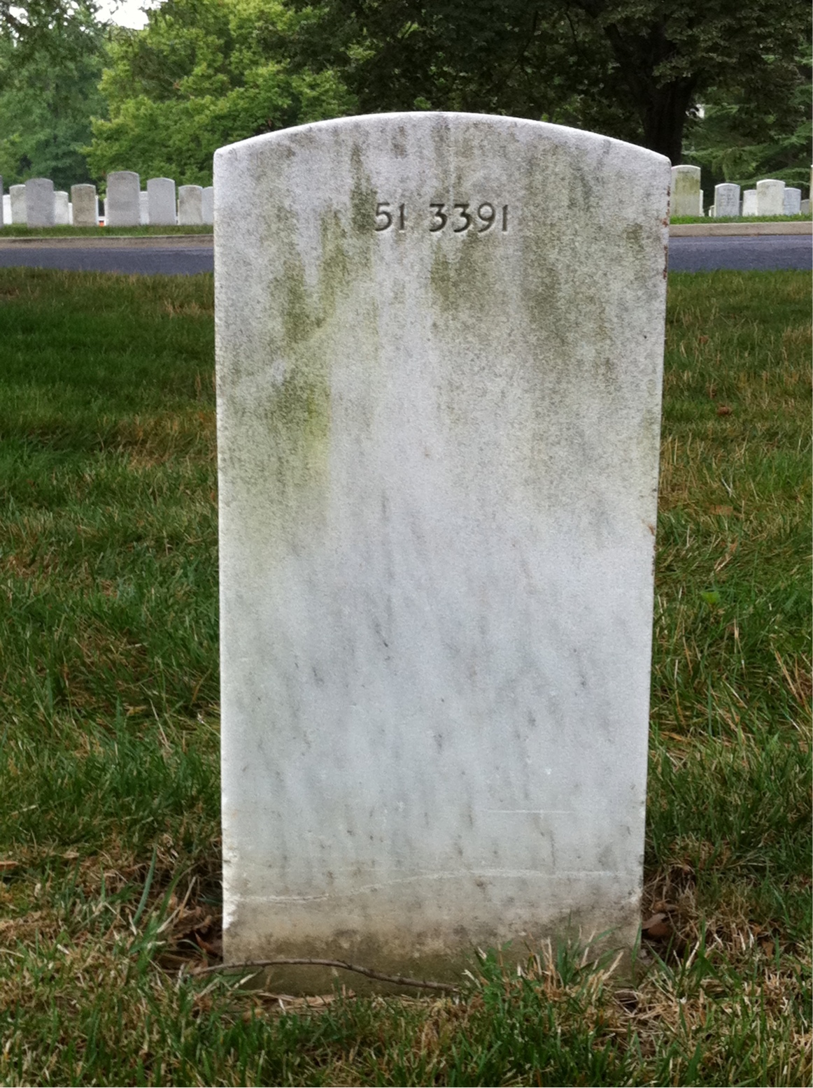 Back of headstone — Diane Bagley