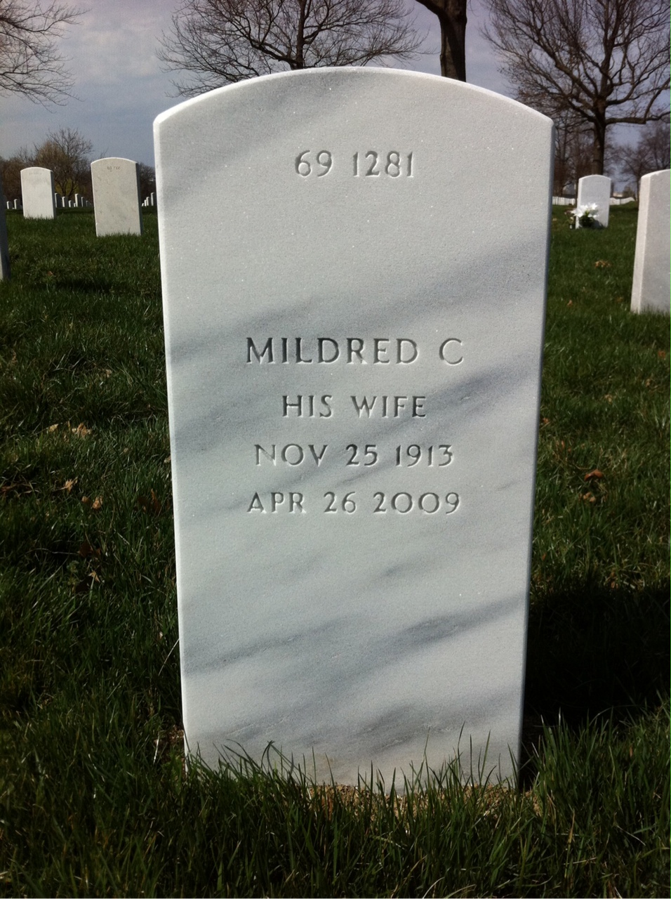 Back of headstone — Finis Johnson