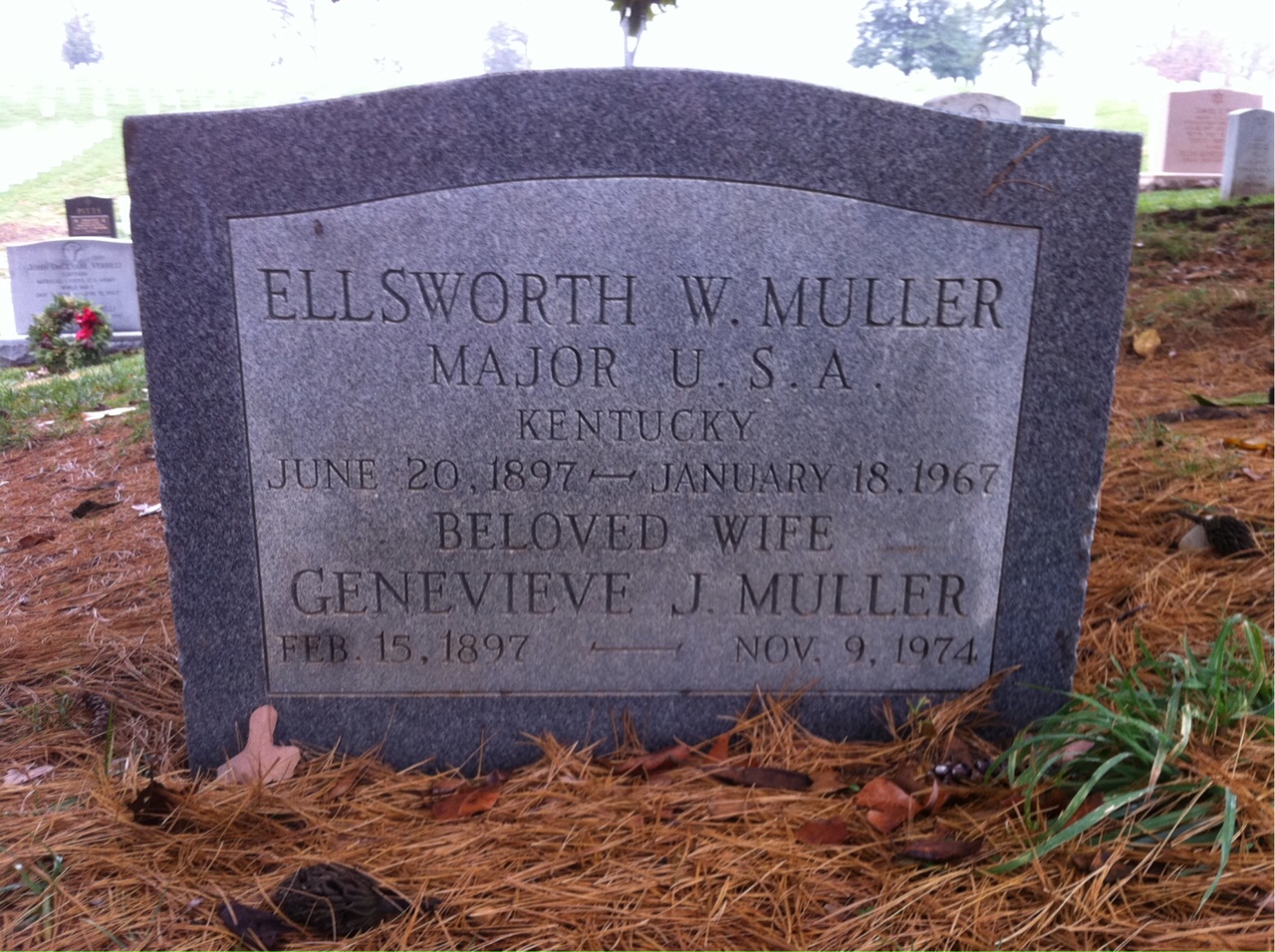 Ellsworth Muller