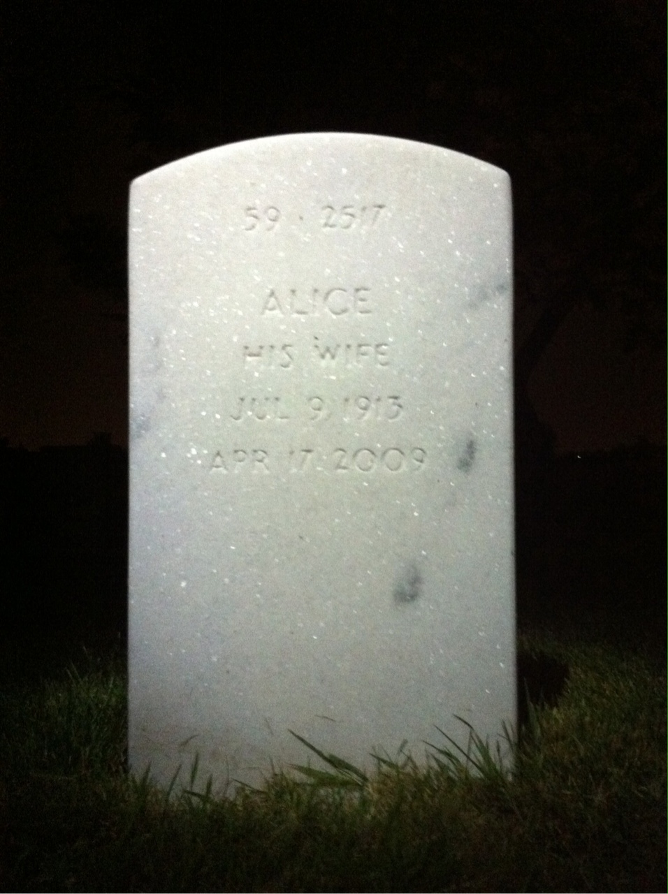 Back of headstone — Wellington Dickinson