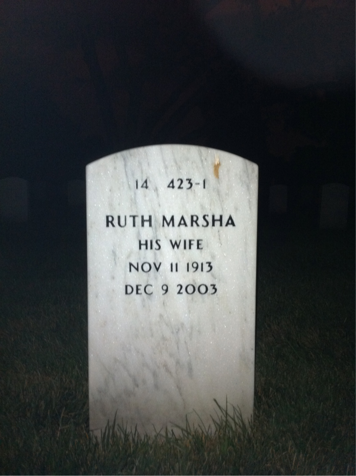Back of headstone — Harry Bush