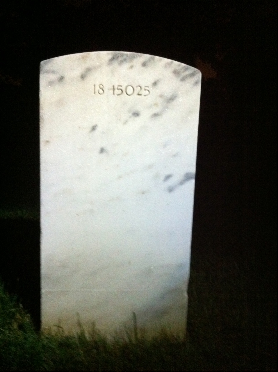Back of headstone — Frederick Anderson
