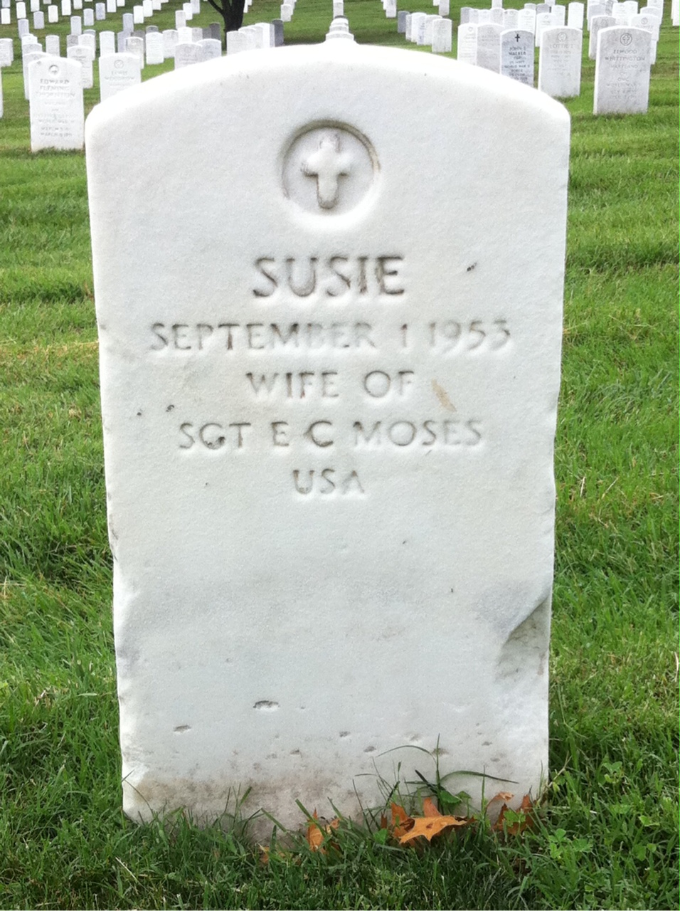 Susie Moses