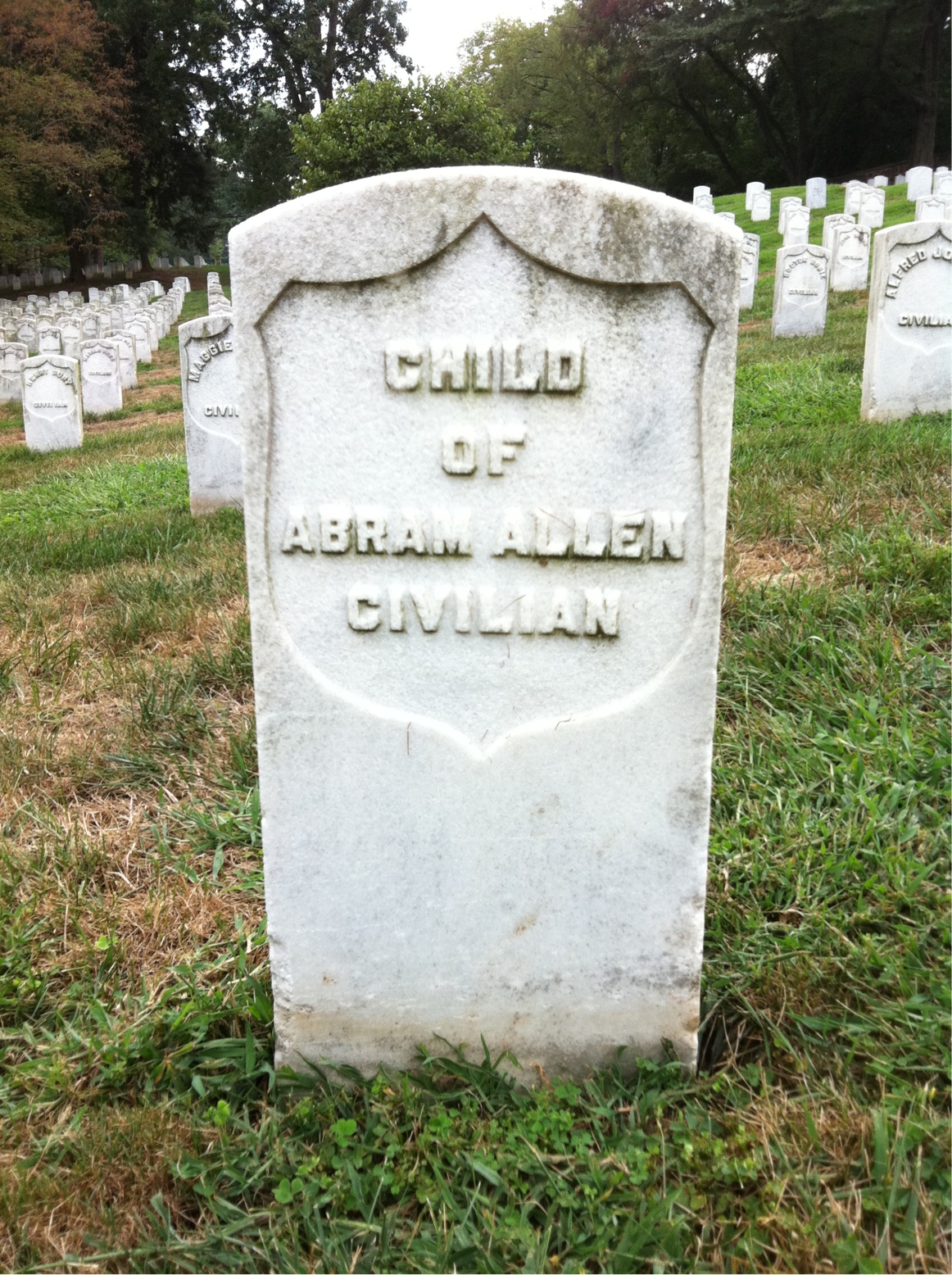 Infant Allen