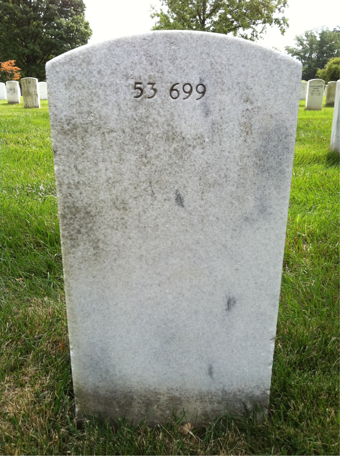 Back of headstone — Elroy Arkadie