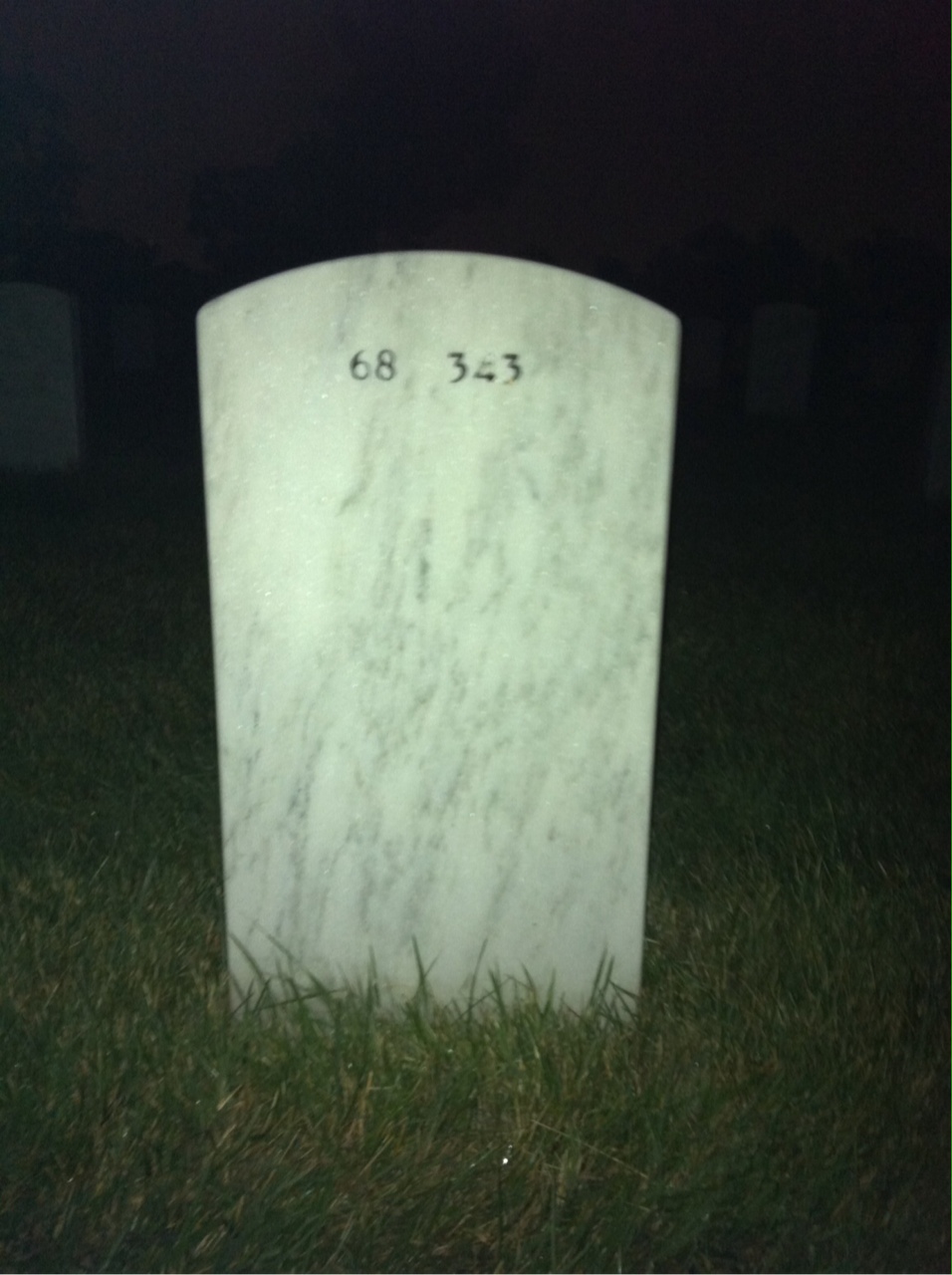 Back of headstone — William Cameron