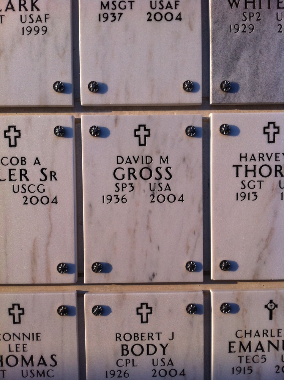 David Gross