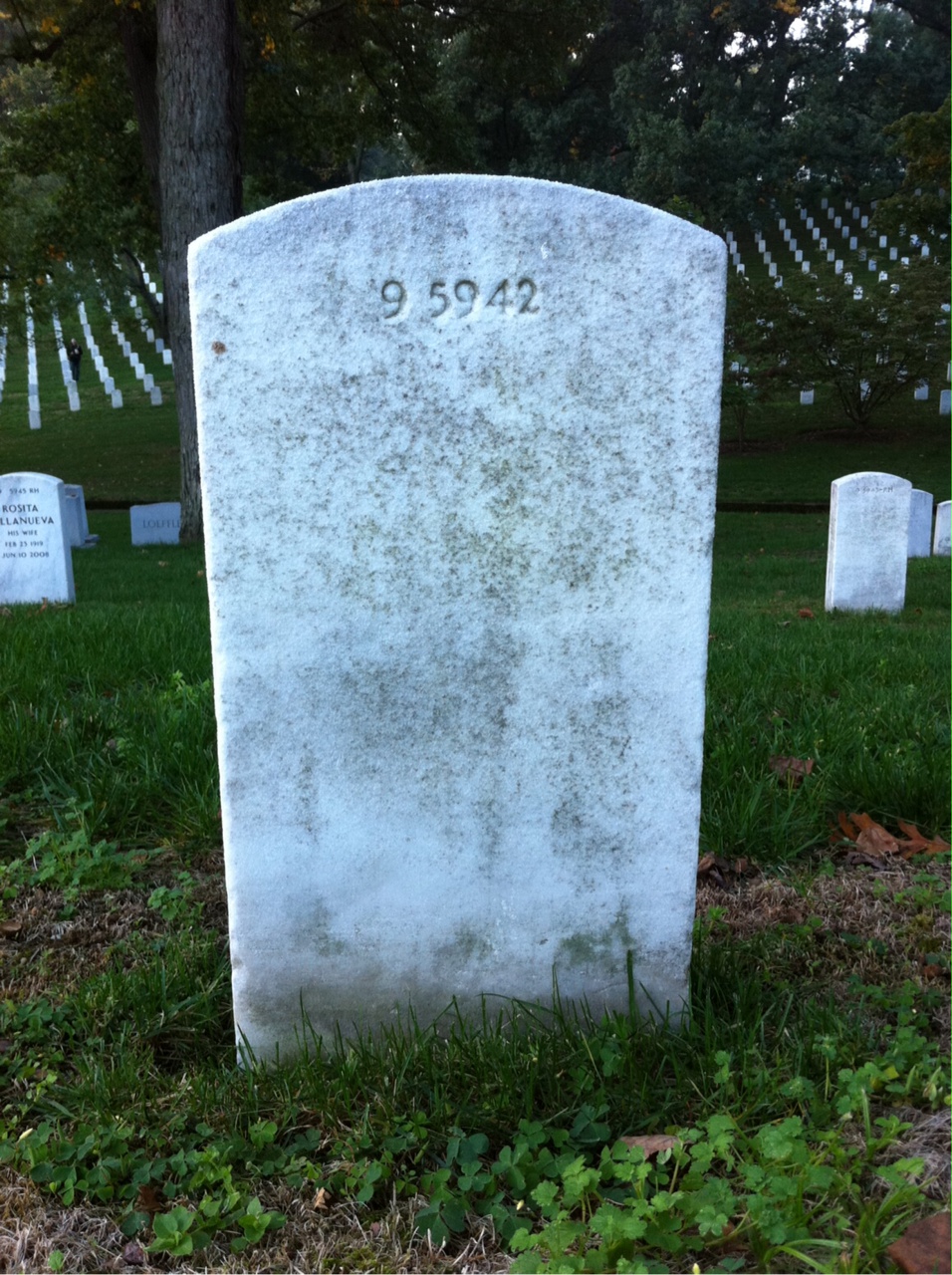 Back of headstone — Lucy Morrison