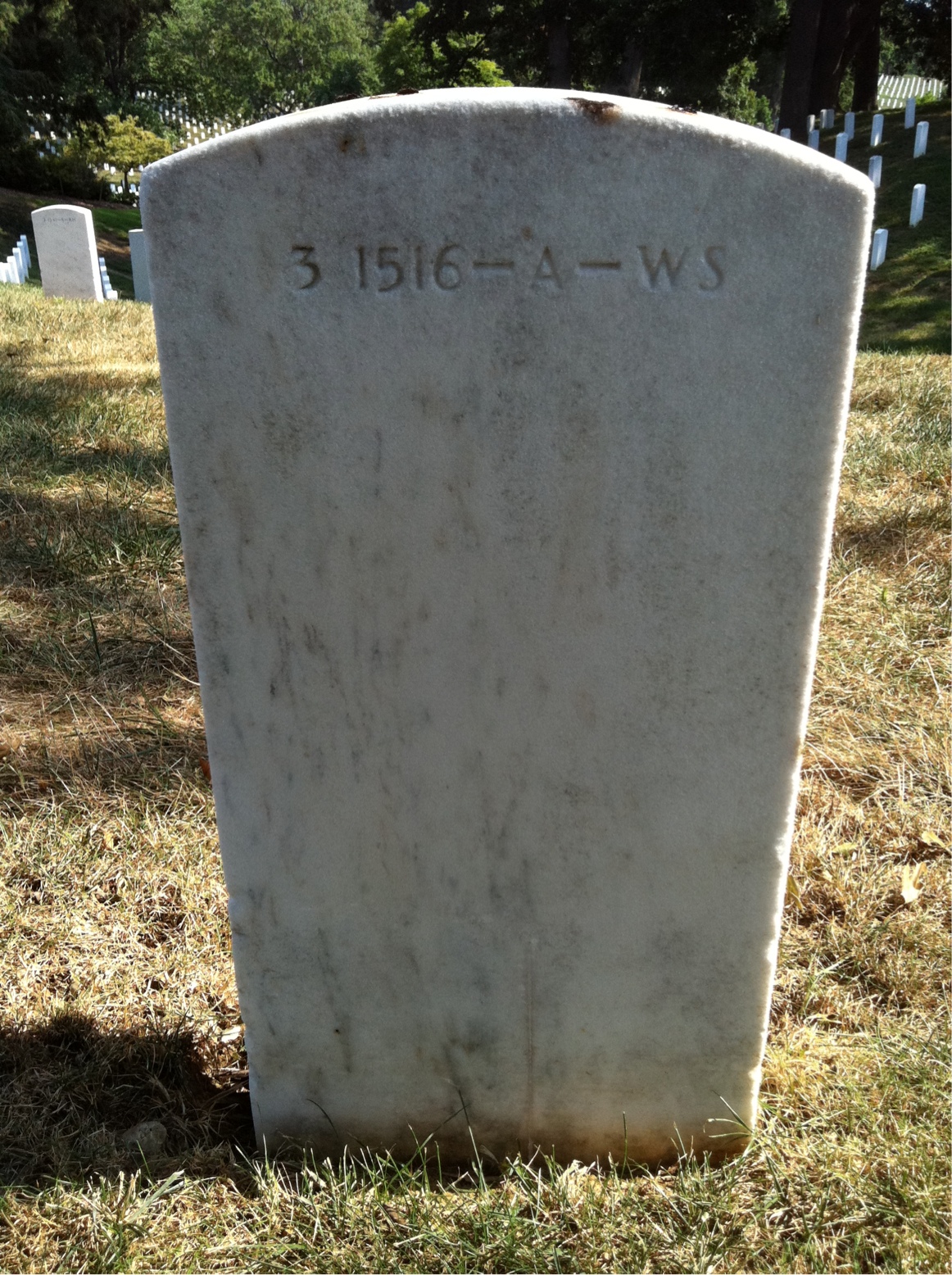 Back of headstone — Elizabeth Murphy