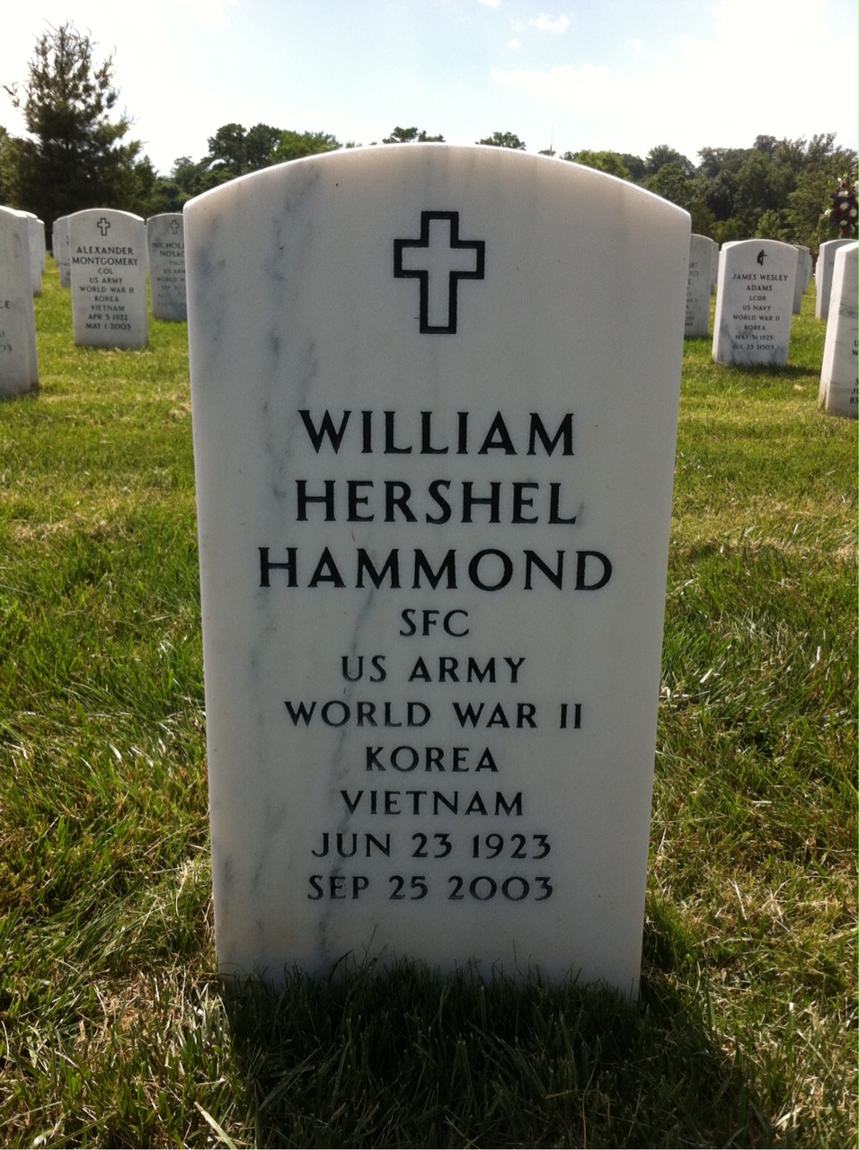 William Hammond
