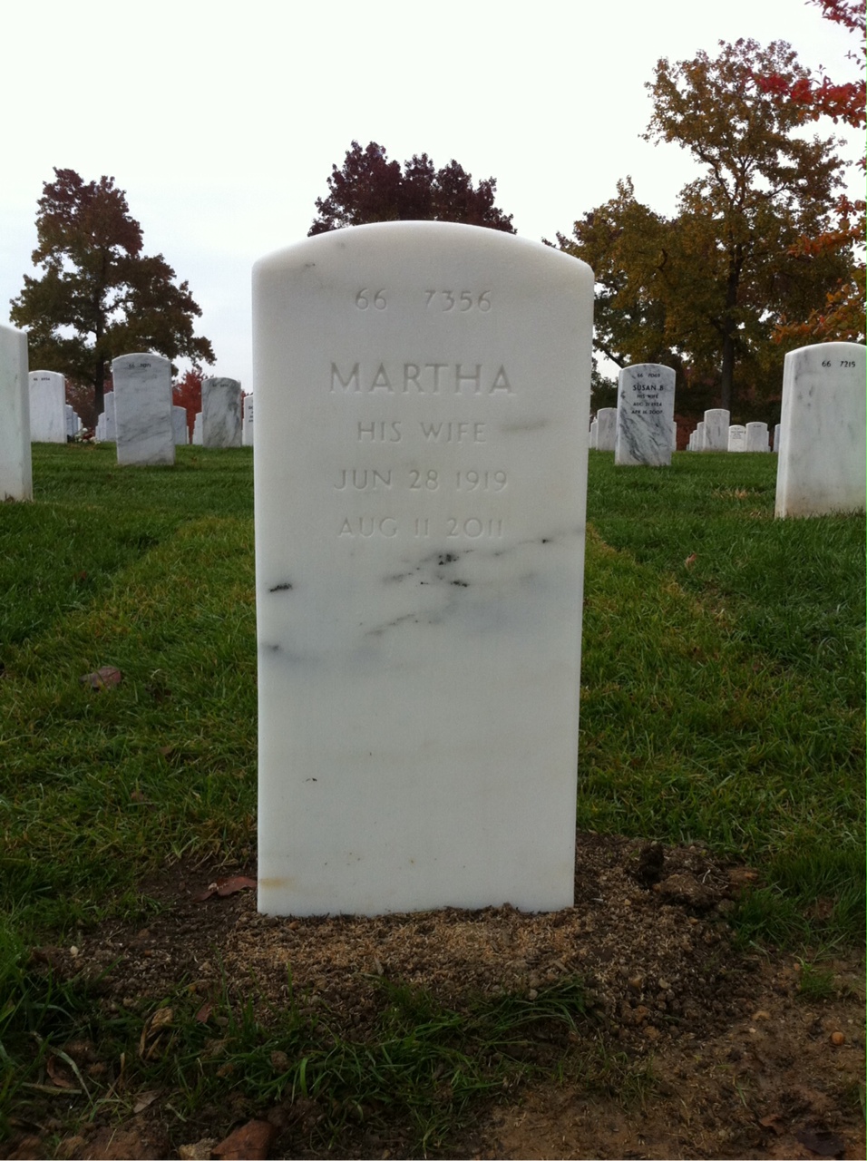 Back of headstone — George Codrea