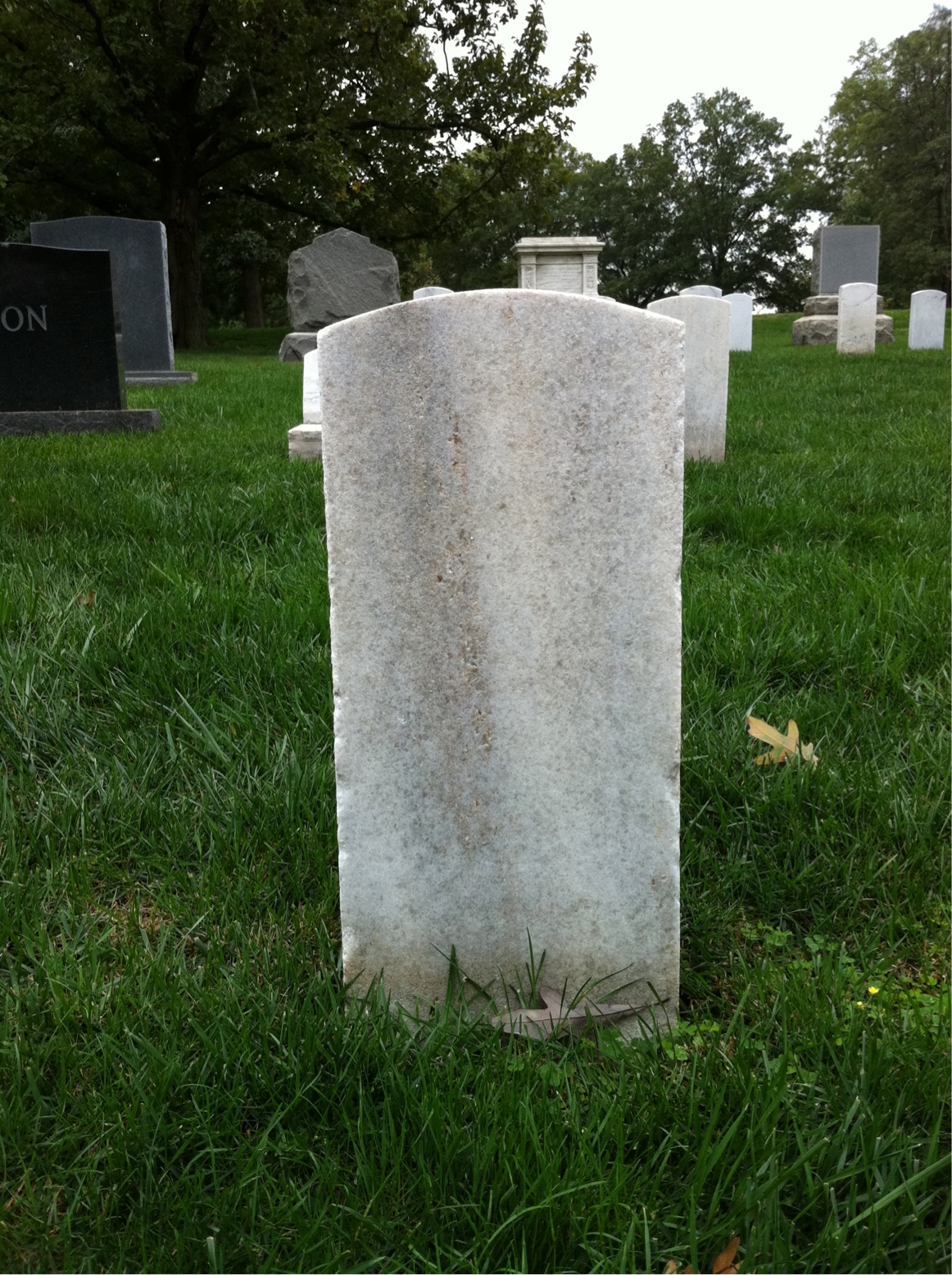 Back of headstone — Sarah Alexander