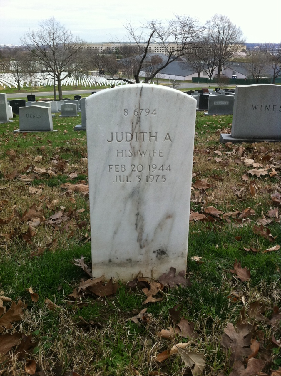 Back of headstone — Andrew J Fitzpatrick