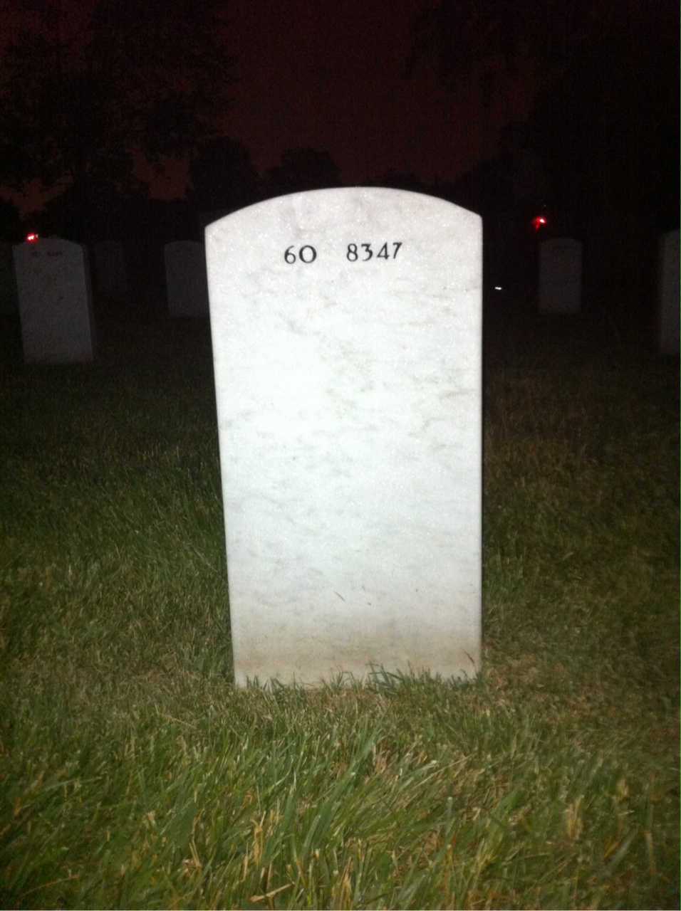 Back of headstone — Leland Davis