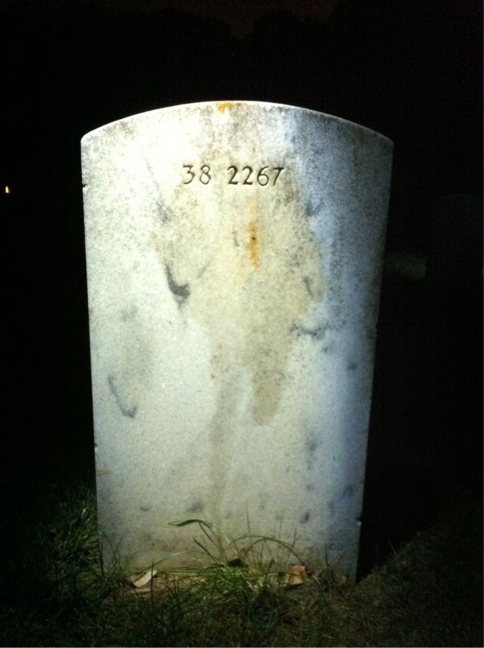 Back of headstone — Thomas E Furr
