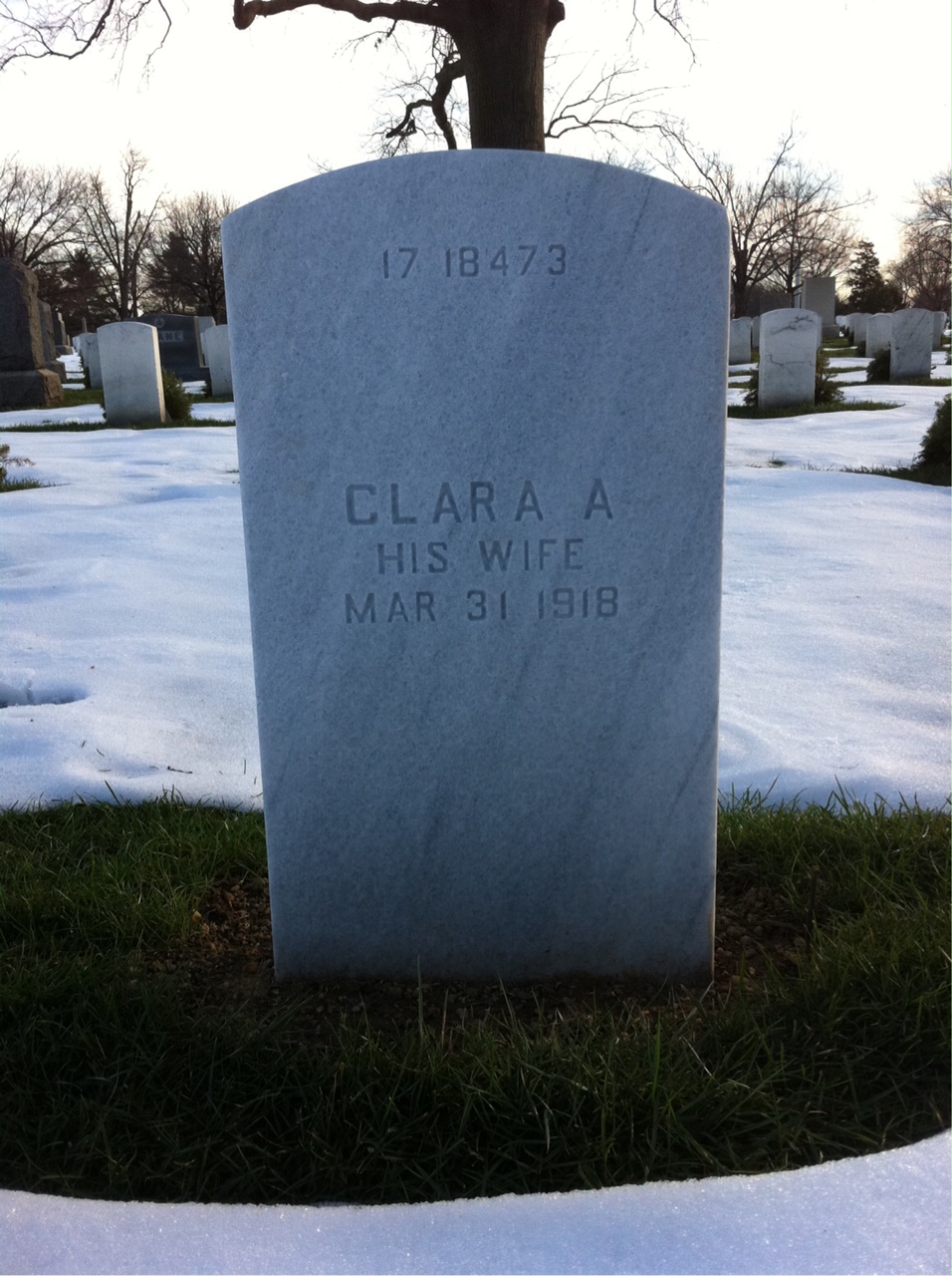 Back of headstone — Henry Albee