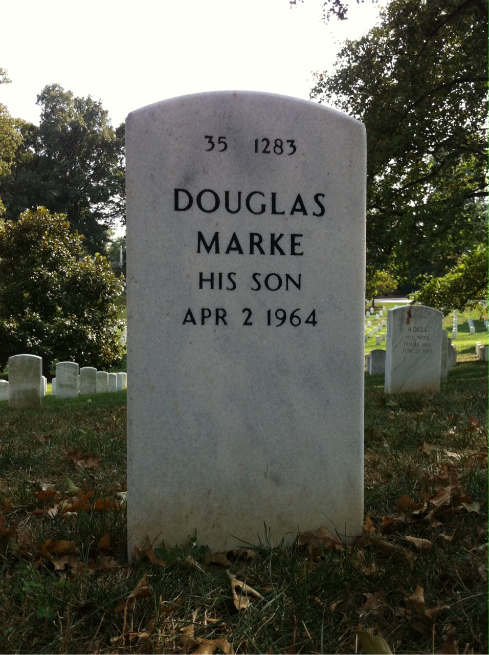Back of headstone — Samuel Mccarthy