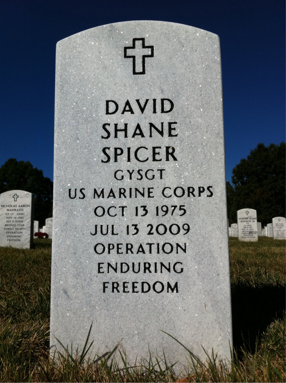 David Spicer