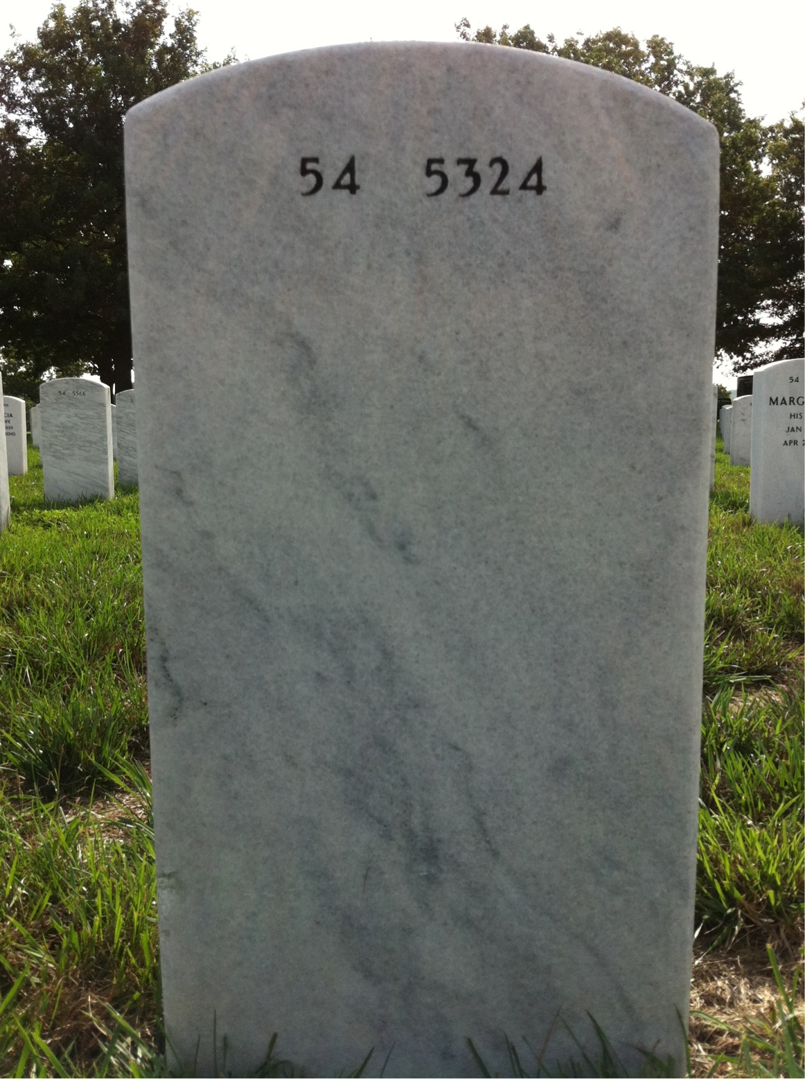 Back of headstone — Elbert Mcclung