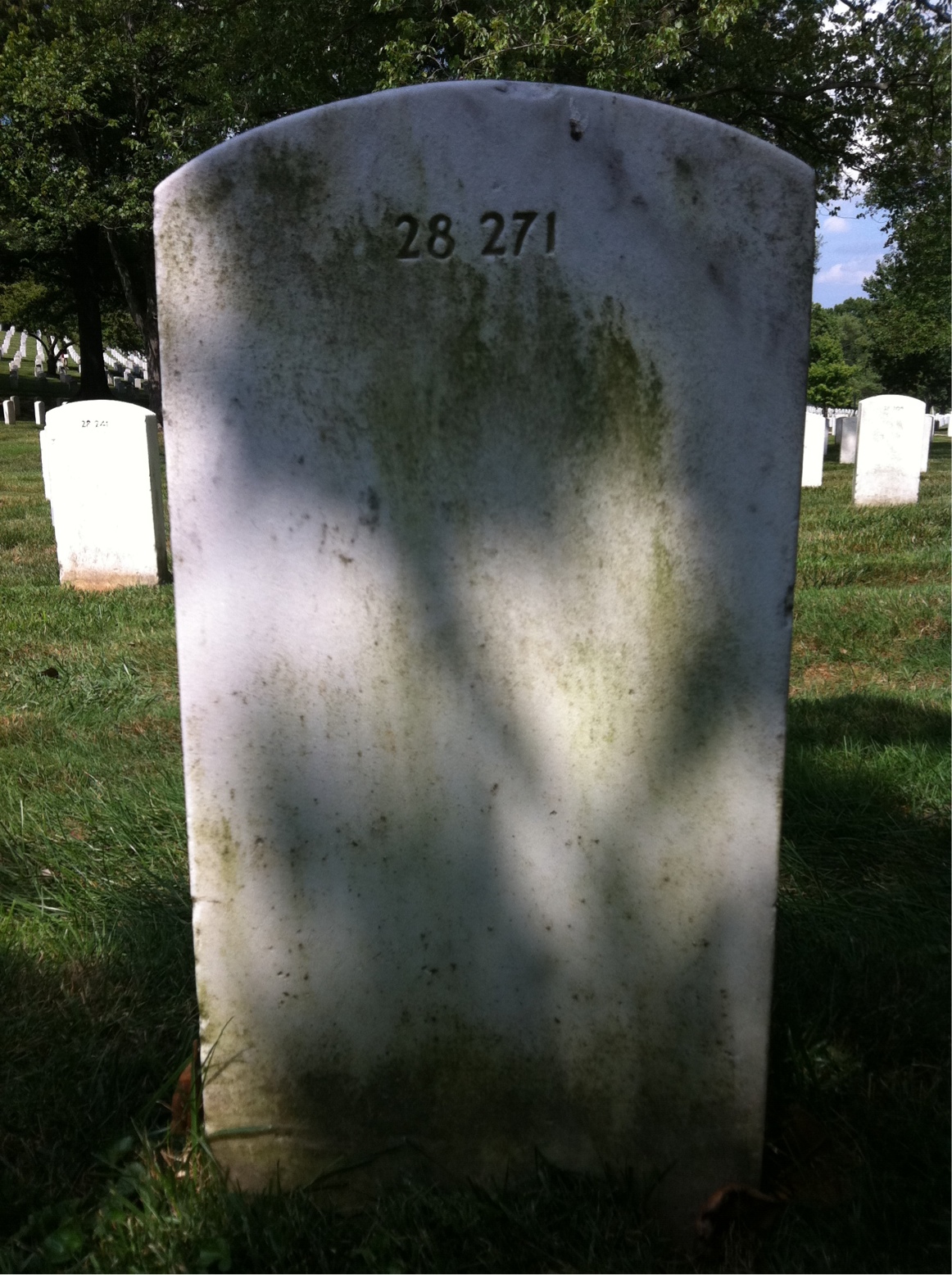Back of headstone — Thomas Watkins