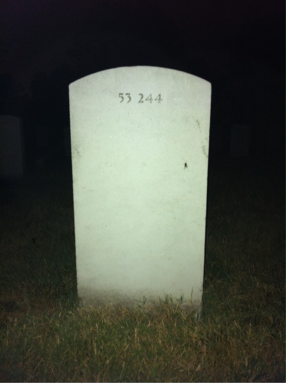 Back of headstone — Willard B Dover