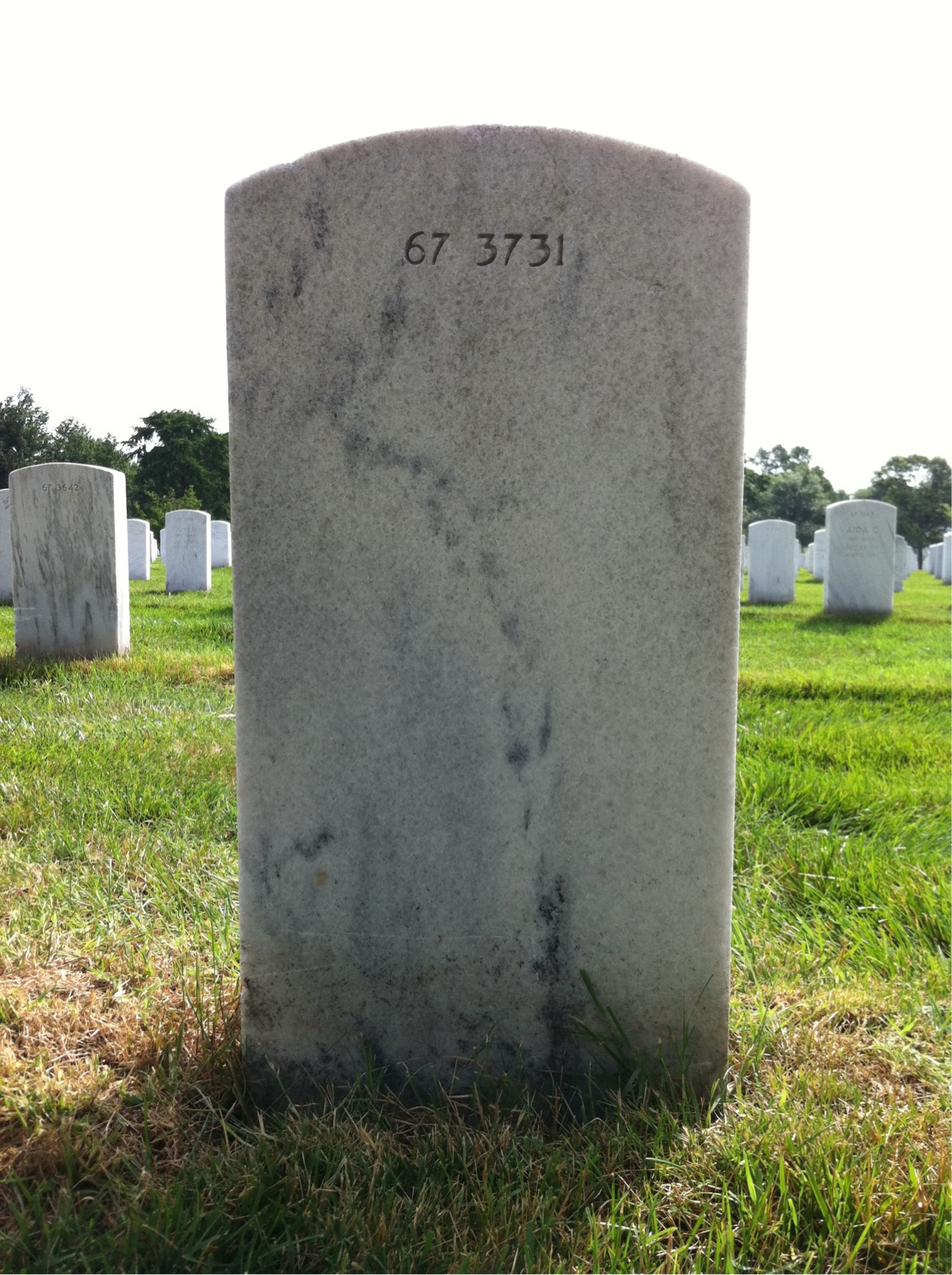 Back of headstone — Alfred Doebeli