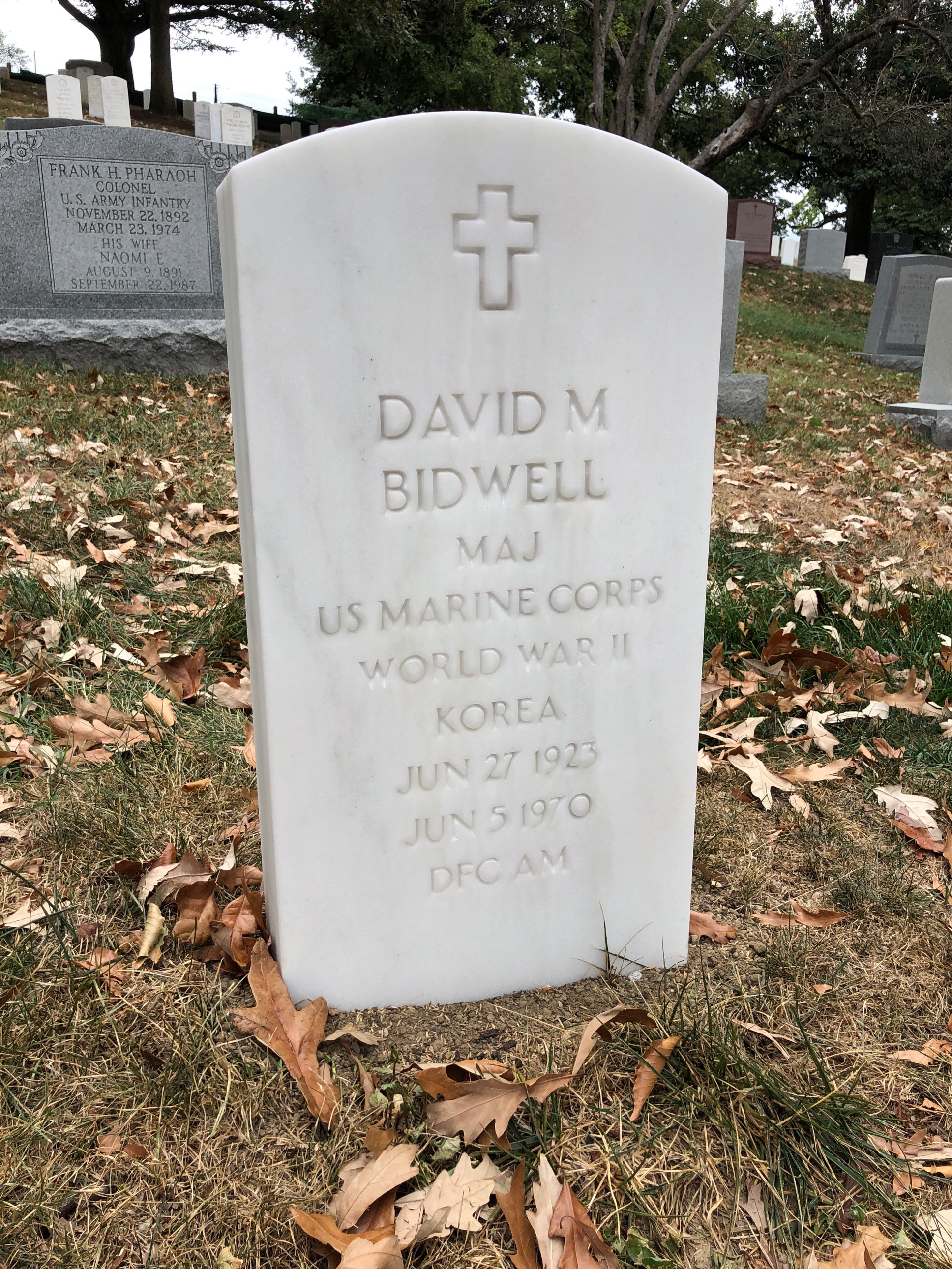 David Bidwell