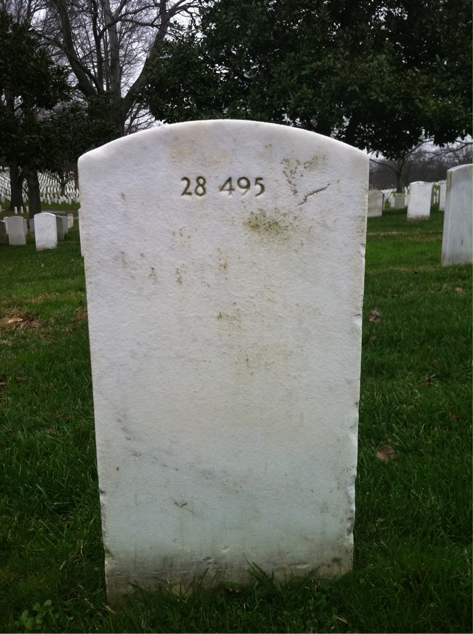 Back of headstone — Finis Garland