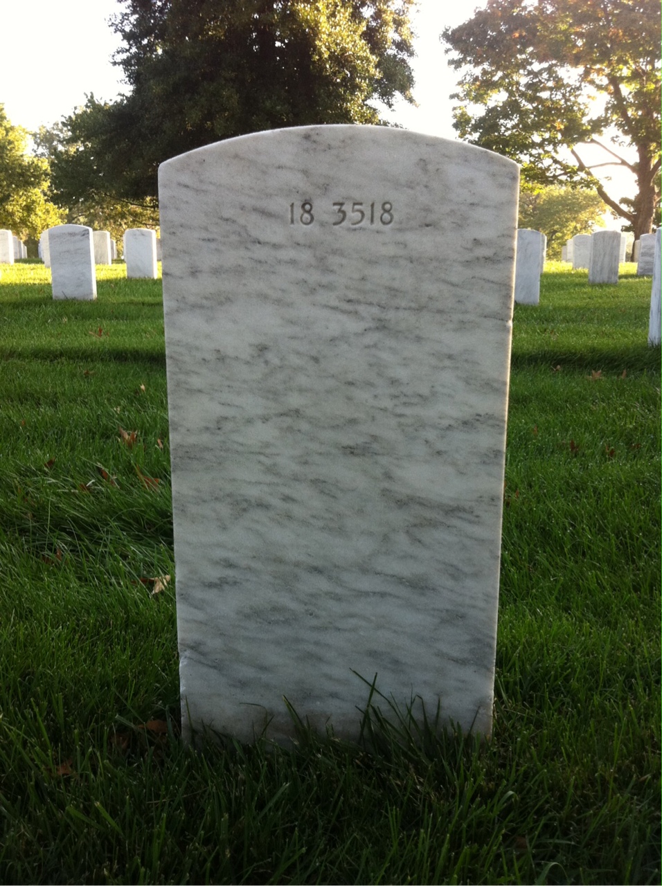 Back of headstone — Elexander Moisa
