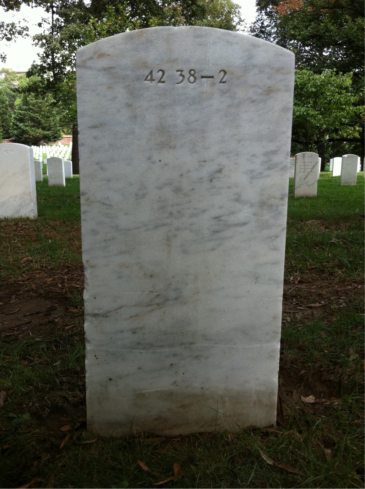 Back of headstone — Thomas Reid Medlin