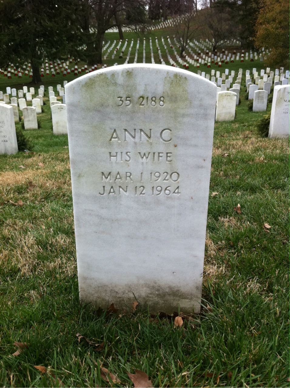 Back of headstone — Ann Babbington