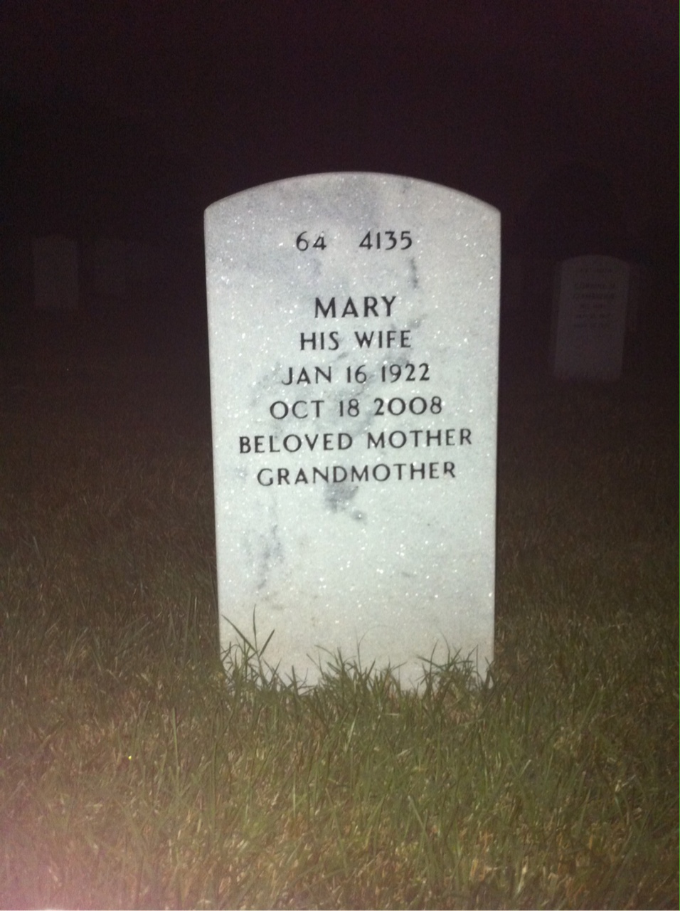 Back of headstone — Stephen Shemelynec