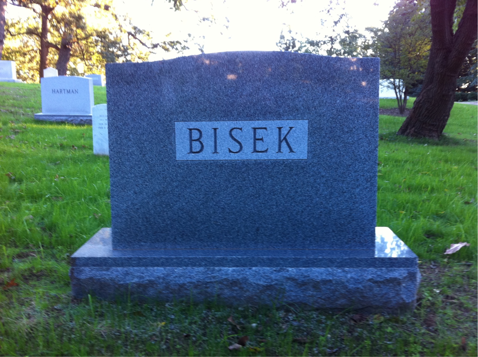 Back of headstone — Walter Bisek