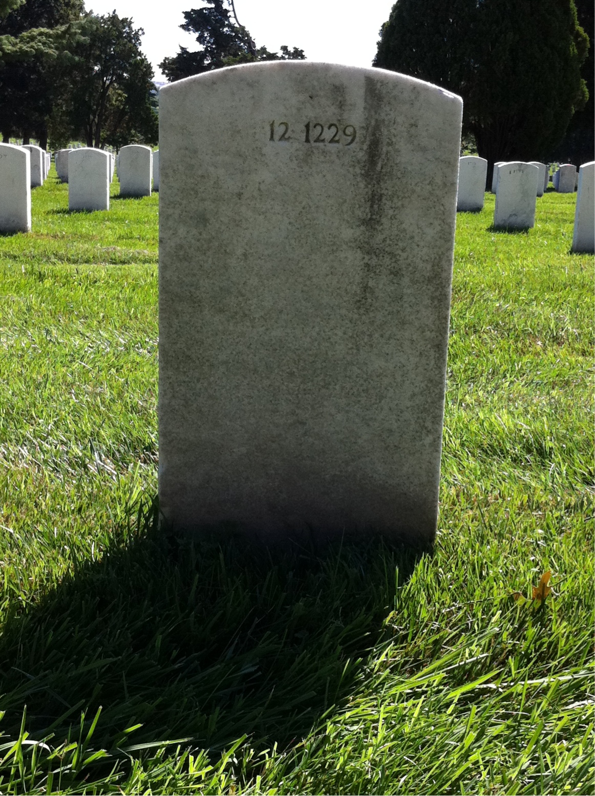 Back of headstone — Robert Lee Sims