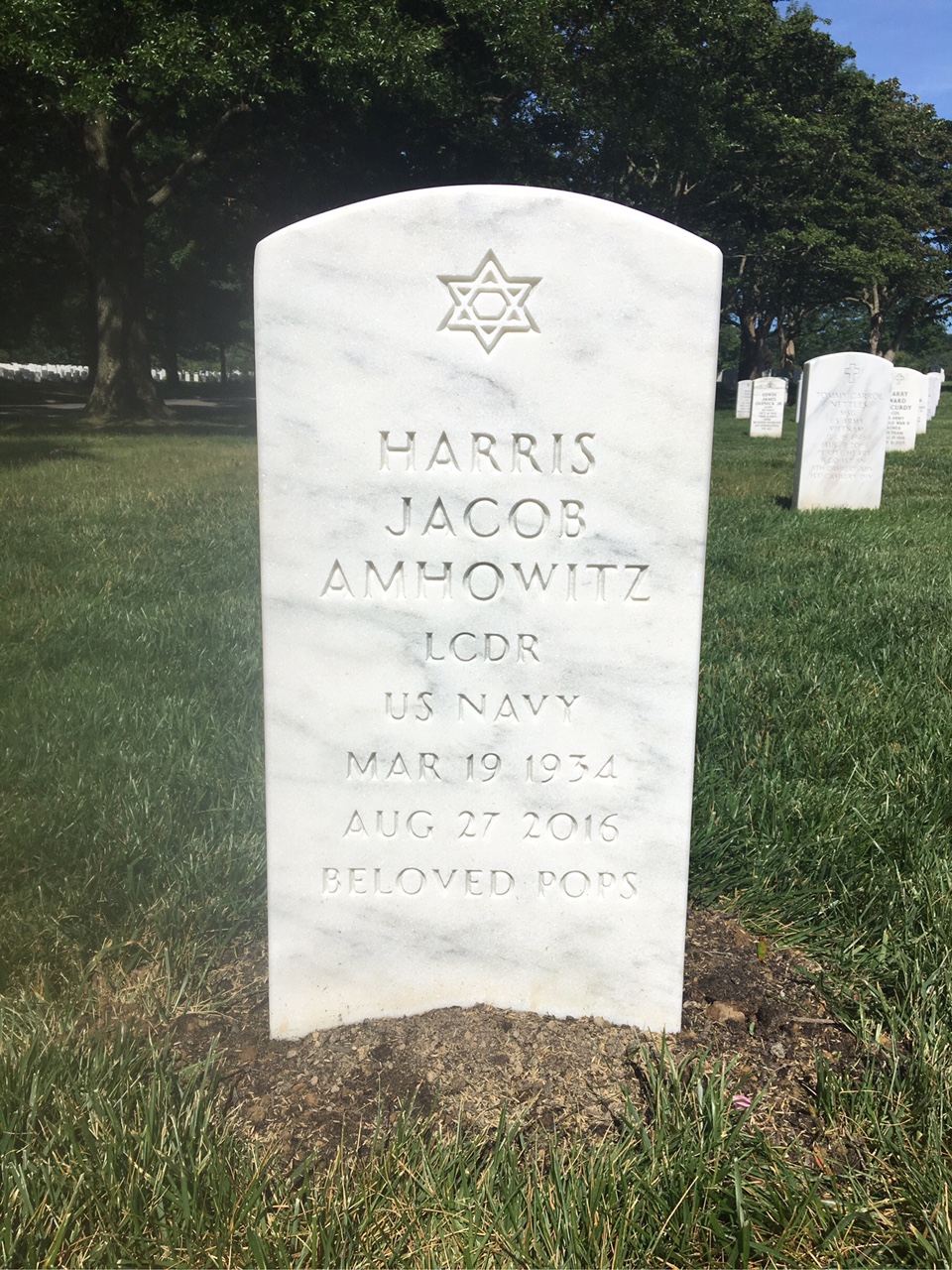 Harris Amhowitz