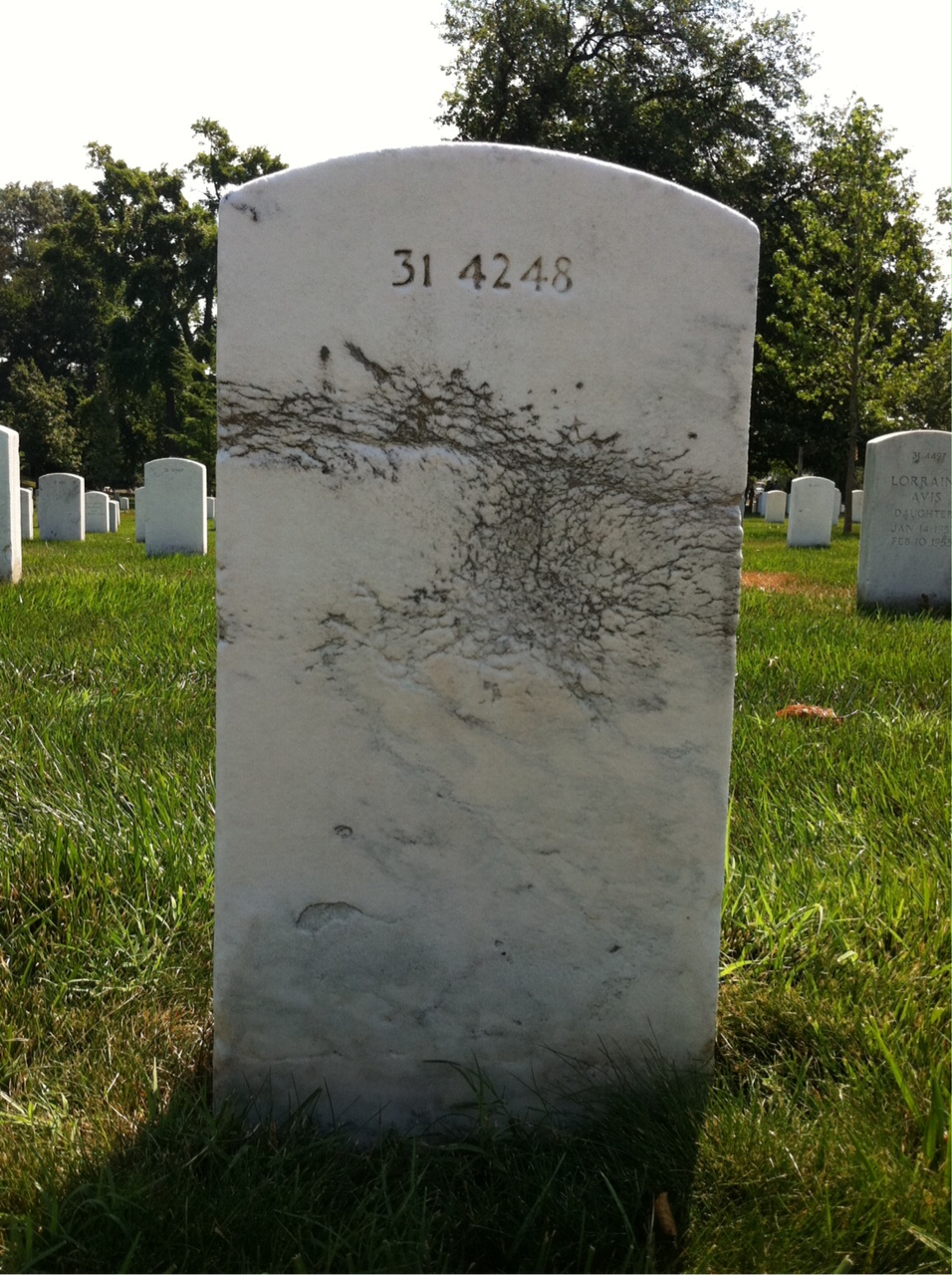 Back of headstone — George Ashton