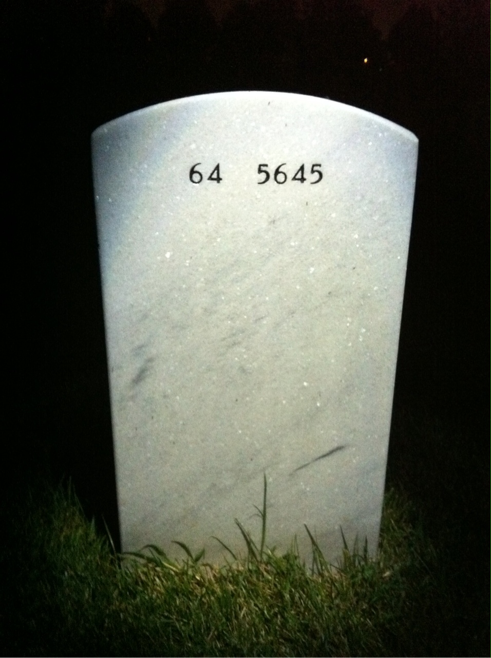 Back of headstone — Louis Vipperman