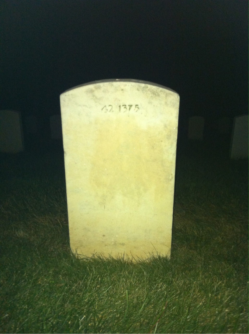Back of headstone — Napoleon Robertson