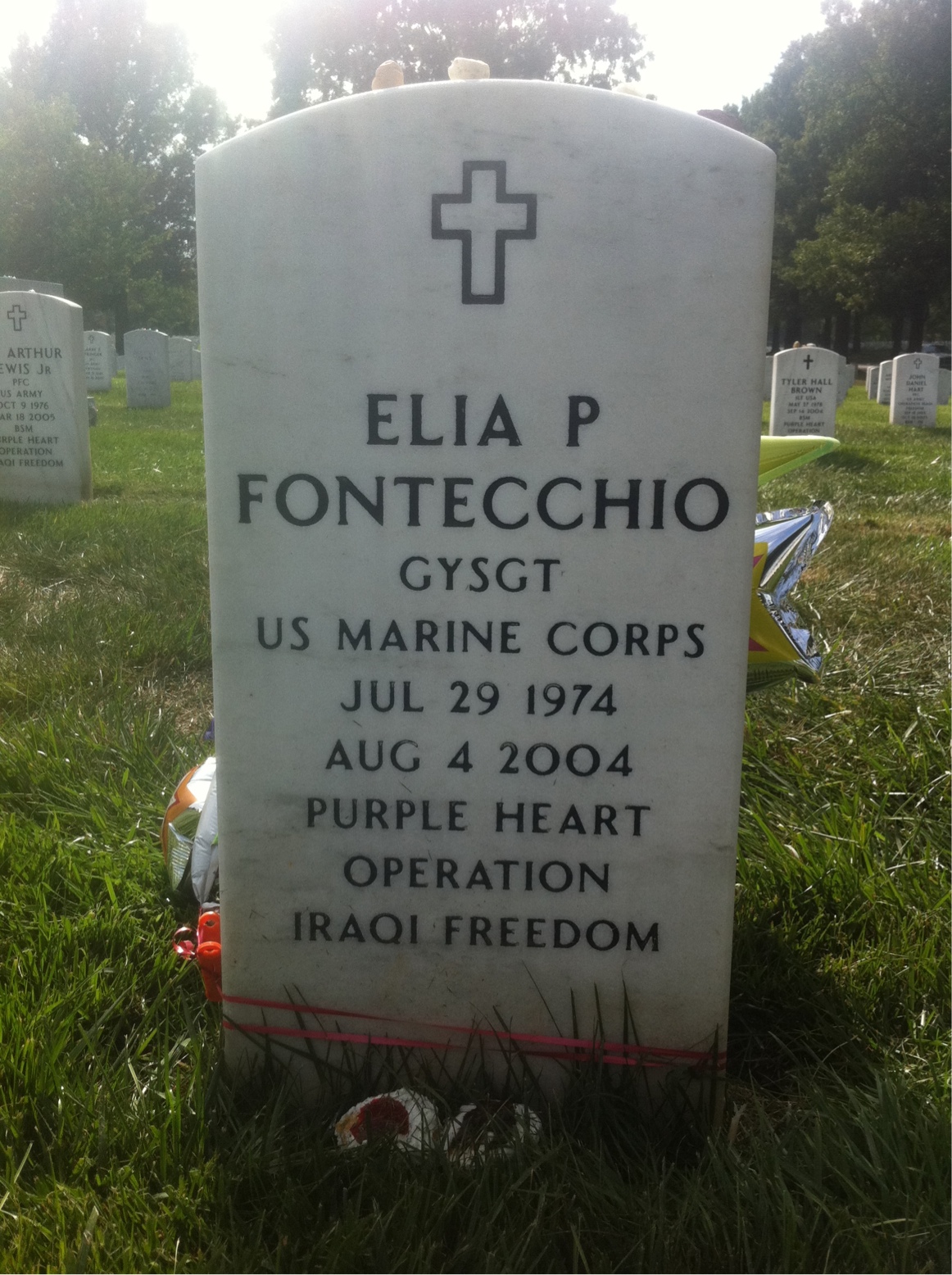 Elia Fontecchio