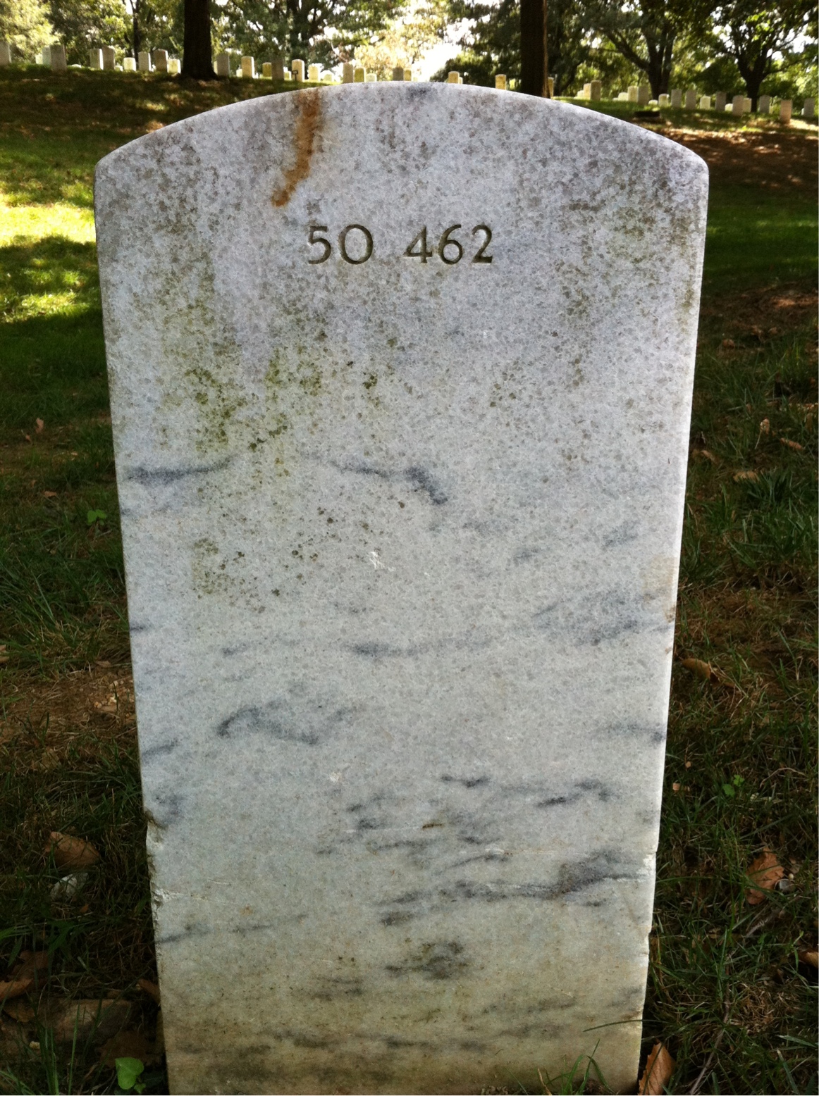 Back of headstone — Chester Bradford