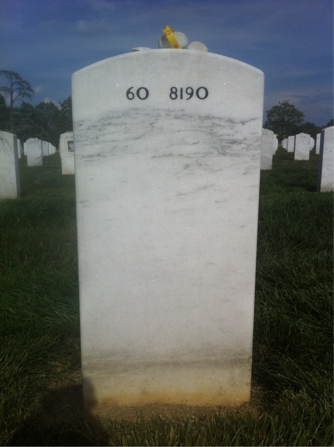 Back of headstone — Leroy Alexander