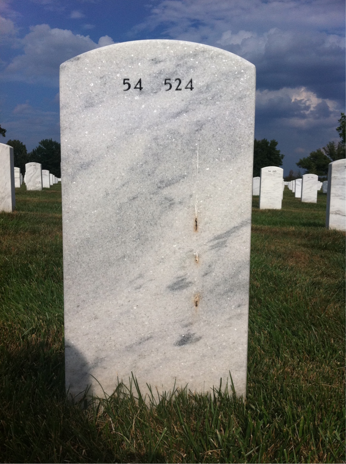 Back of headstone — Francis Murray